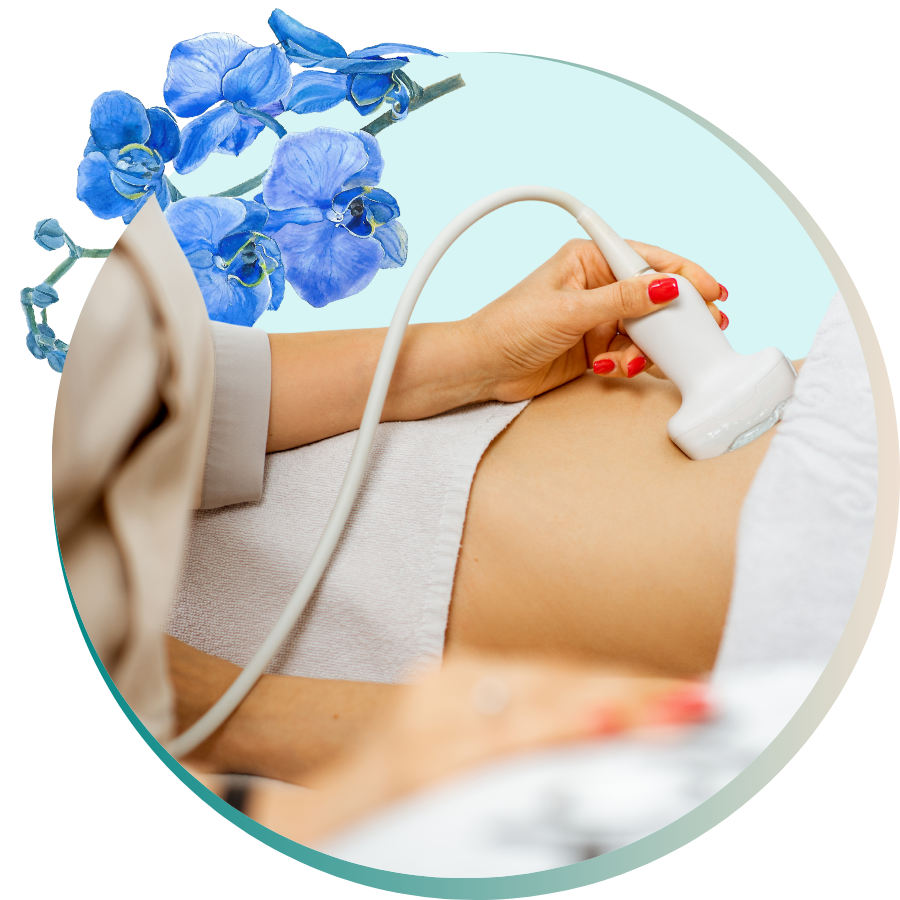 Ultrasounds 1 YFYW