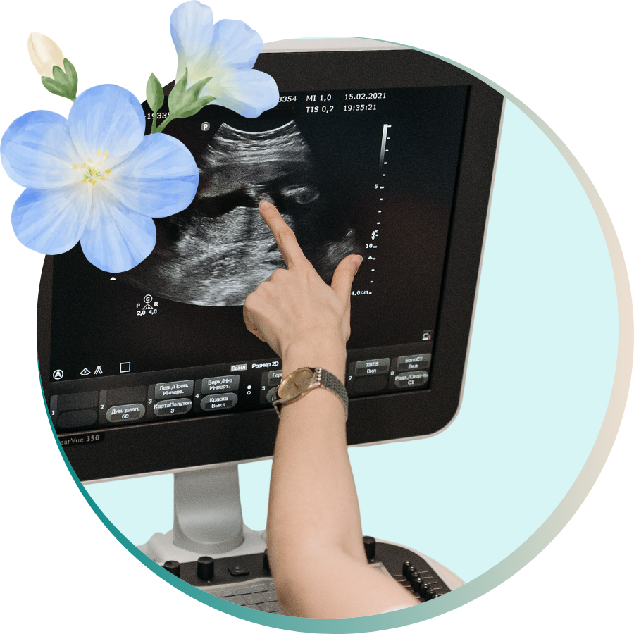 Ultrasounds 2